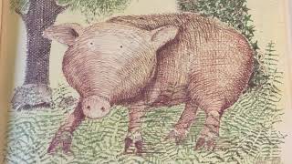 Read Aloud of Mr. Gumpy's Outing by John Burningham