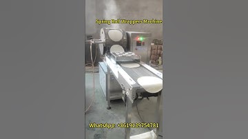 🥢 How Spring Roll Wrappers are Made | Spring Roll Wrappers Machine in Action!