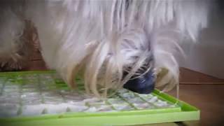 Lickimat Buddy Treat Mat