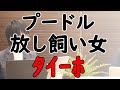 幼少期の動物恐怖体験は虎馬になるという件。｜KAZUYA CHANNEL GX2
