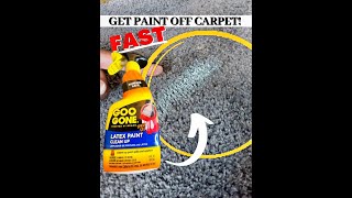 FAST | Clean Paint From Carpet #shorts