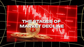 How to Survive the Inevitable Market Decline | Part 4 of 5 | MeemFi