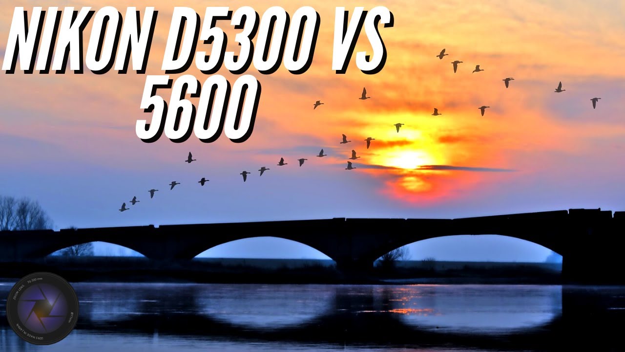 Nikon D5300 vs D5600 Low light Settings 📷 Golden Hour Photography YouTube