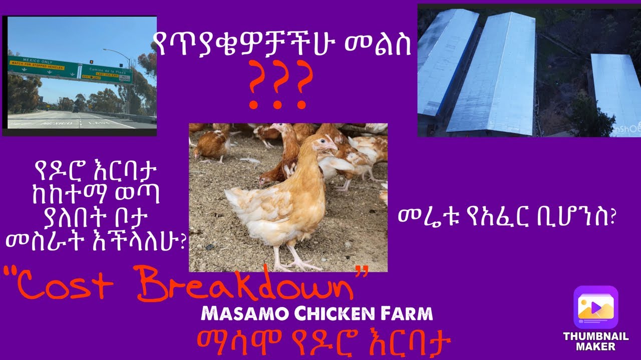 ለጠየቃችሁን ጥያቄዎች መልስ ይዘንላችሁ ቀርበናል።