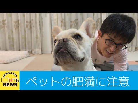 ペットの肥満に注意　「おうち時間」増え、ついおやつを…