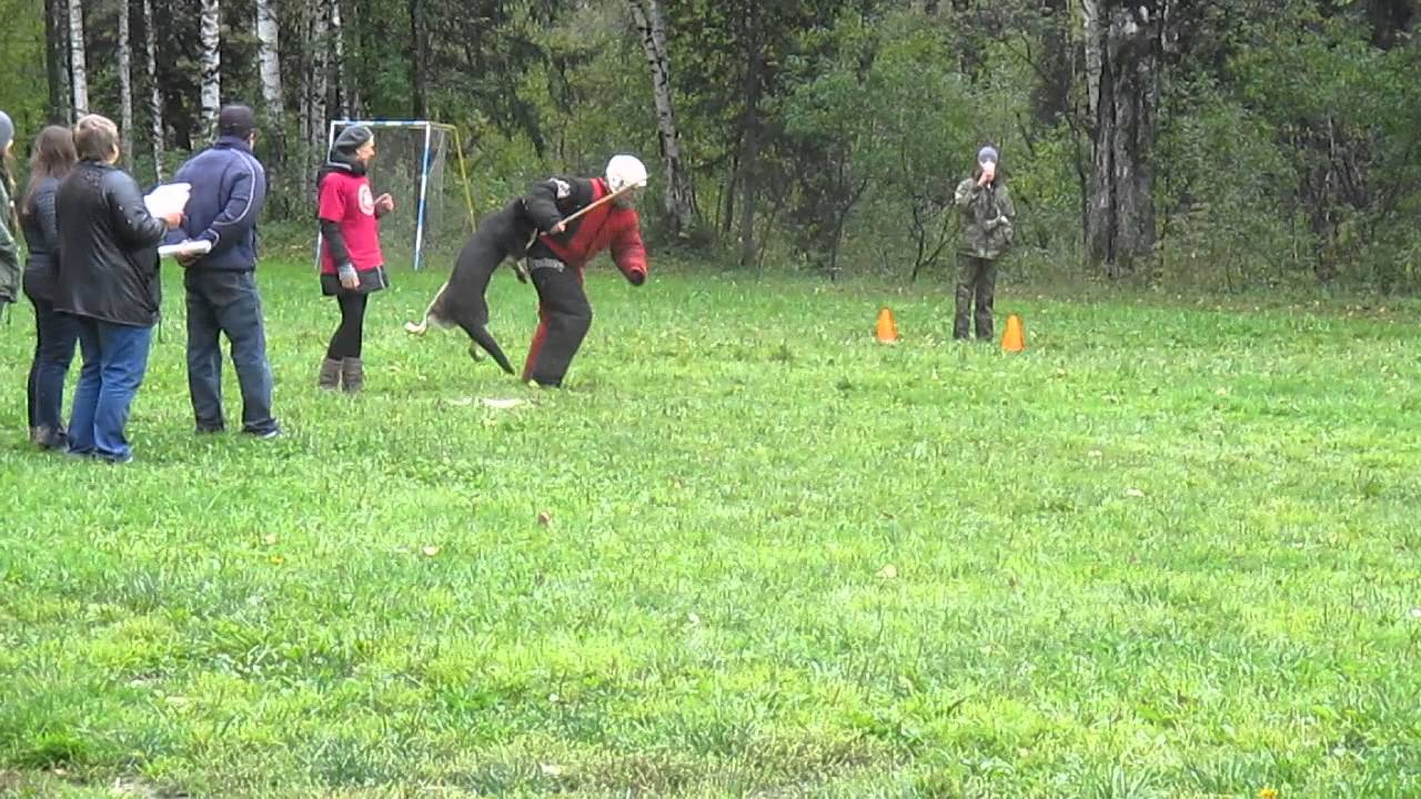 Жардин - YouTube