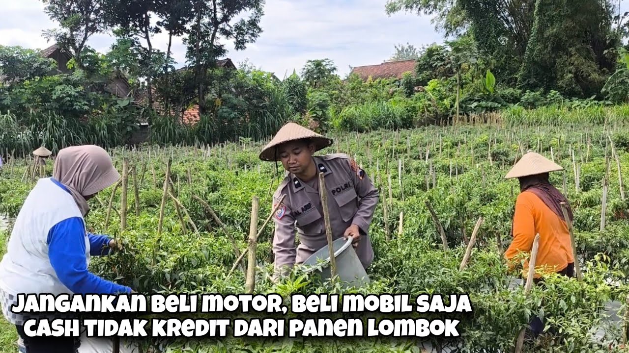 Kejutan Petani Lombok Nek Bejo Sampai Iso Tuku Pajero Edisi Blusukan Sambil Berbagi Al Arif Blora