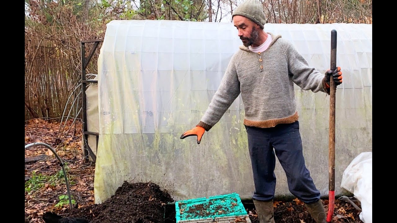 Tree Seeds - Storing for Winter - YouTube