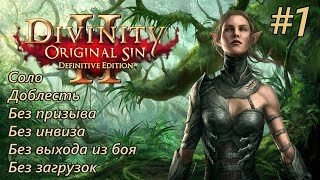 :  Divinity: Original Sin 2 [DE]. . .  ,      #1