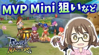 【ラグマス】みんなで遊ぶRPG！MVPやMini狙ったりギルド道場いったり【ラグナロクマスターズ】
