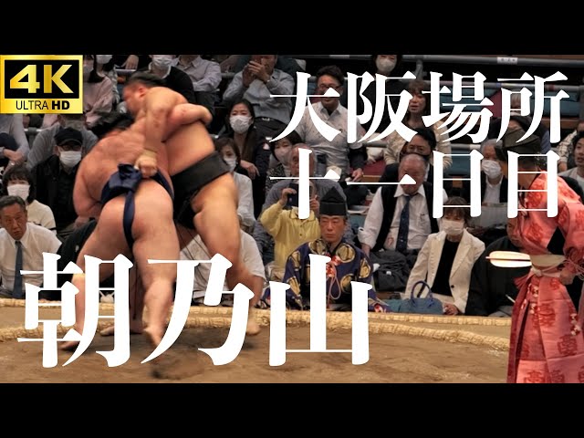 大相撲　朝乃山関　反物　　　一反 浴衣地 出島 反物 武蔵川部屋 大関 大相撲 白鵬 貴景勝 朝乃山 粗布