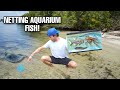 Netting AQUARIUM FISH and INVERTEBRATES For My OCTOPUS AQUARIUM!! *UNKNOWN FISH CAUGHT*