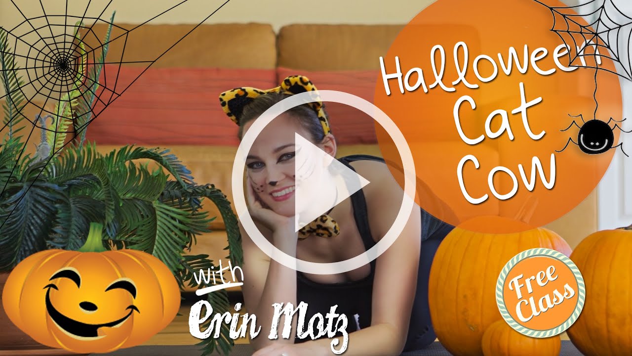 Cat Cow Breakdown for Halloween! (Beginner) - YouTube