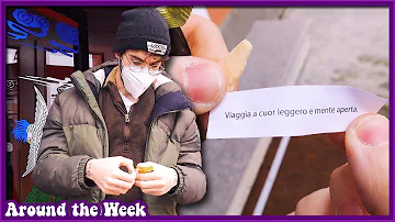Cosa mangiare insieme ai Gyoza?