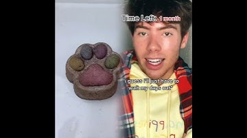 #pov the amount of time you have left to live is shown above your head. you’ll do anything to have