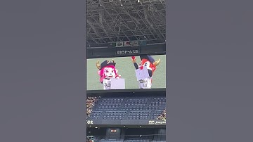 世界一かわいい予告先発　#オールスター #プロ野球 #orixbuffaloes #バファローベル #バファローブル　#オールスター2025 #京セラドーム大阪