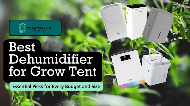 Best Dehumidifier for Grow Tent: Essential Picks for Every Budget and Size