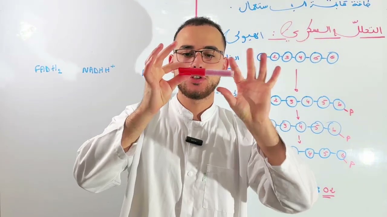 التنفس و التخمر من الألف إلى الياء🫁 (مستحيل ماتفهمش) ‼️