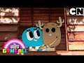 Cuando el amor tiene giros inesperados | El Increíble Mundo de Gumball en Español Latino | CN