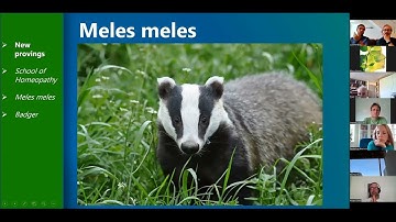 RadarOpus: Luke Norland - About new provings in Synthesis Adonis