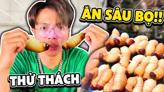 Thử Thách ĂN SÂU BỌ !! Hero Team đi Thái Lan | MrVit Vlog #11