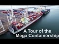 Tour of the mega container ship  life at sea  mariners vlog 3