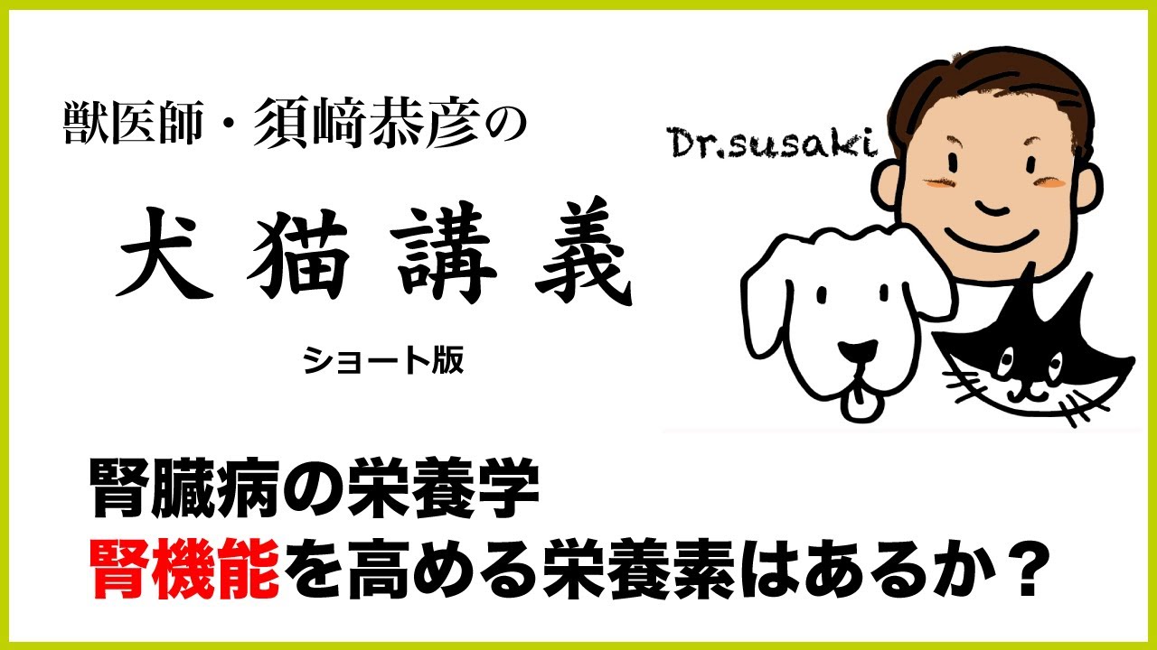 須崎恭彦の犬猫講義】腎臓病の栄養学 腎機能を高める栄養素は