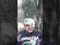 Белки в лесу воруют рюкзаки у туристов