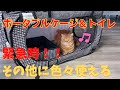 【スコ猫なるぷー】緊急時用ポータブルケージ＆トイレセット買いました！いざという時に！家族を守る/避難用/車中/ハウス/I Portable house and toilet set for cats