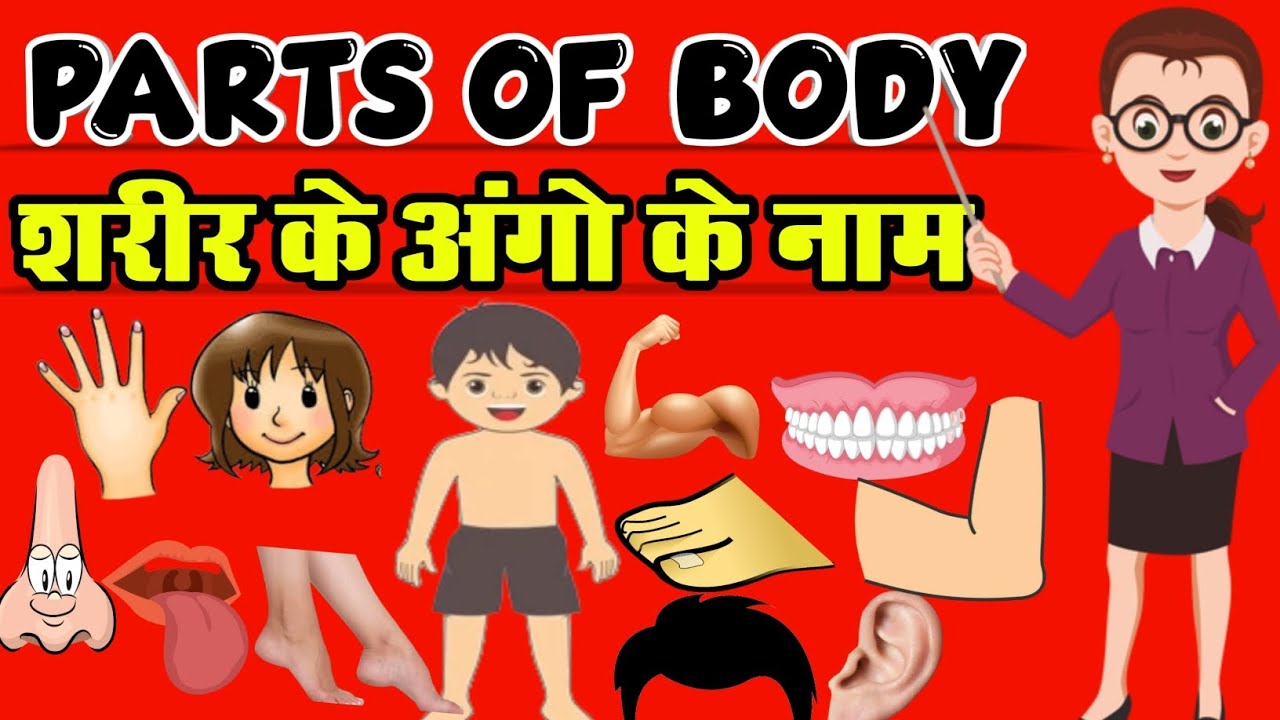 parts of body ke naam शरीर के अंगों के नाम 10 parts of body for