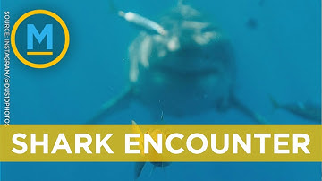 This real-life photo looks just like the 