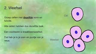 Download Lagu Van cel tot dier - cel, weefsel, orgaan, orgaanstelsel en organisme MP3
