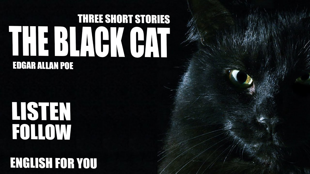 The Black Cat - English For You Story Collection - YouTube