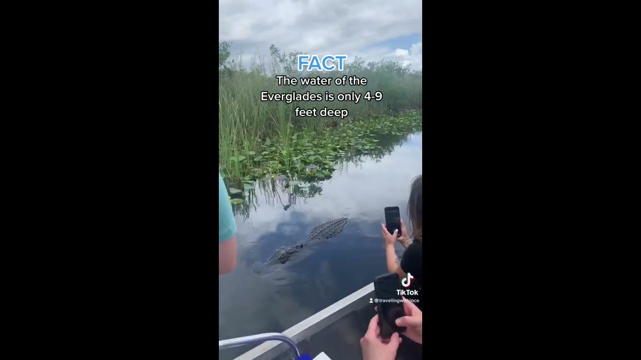 You Must Visit The Everglades In Florida