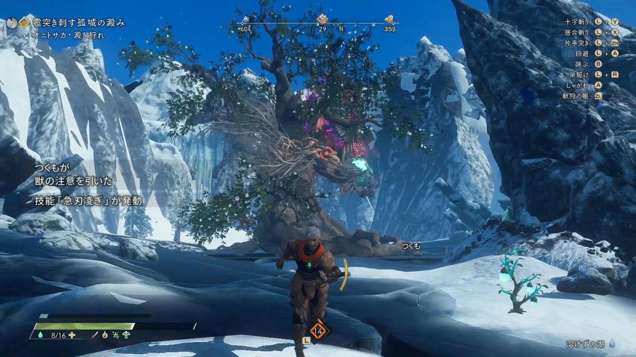 【ワイルドハーツS】素材集めやっていきます♪