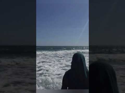 مديني يا شراع الزماني انشودة