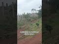 red soil agriculture sindhenkera land on sale karnataka