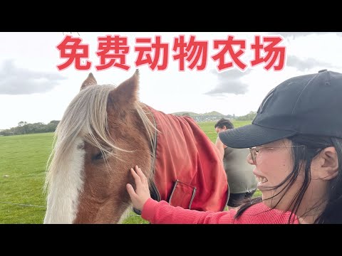 新西兰生活vlog｜朋友给我们送了高压水枪｜周末逛免费的动物农场｜真的9.9刀中餐来了