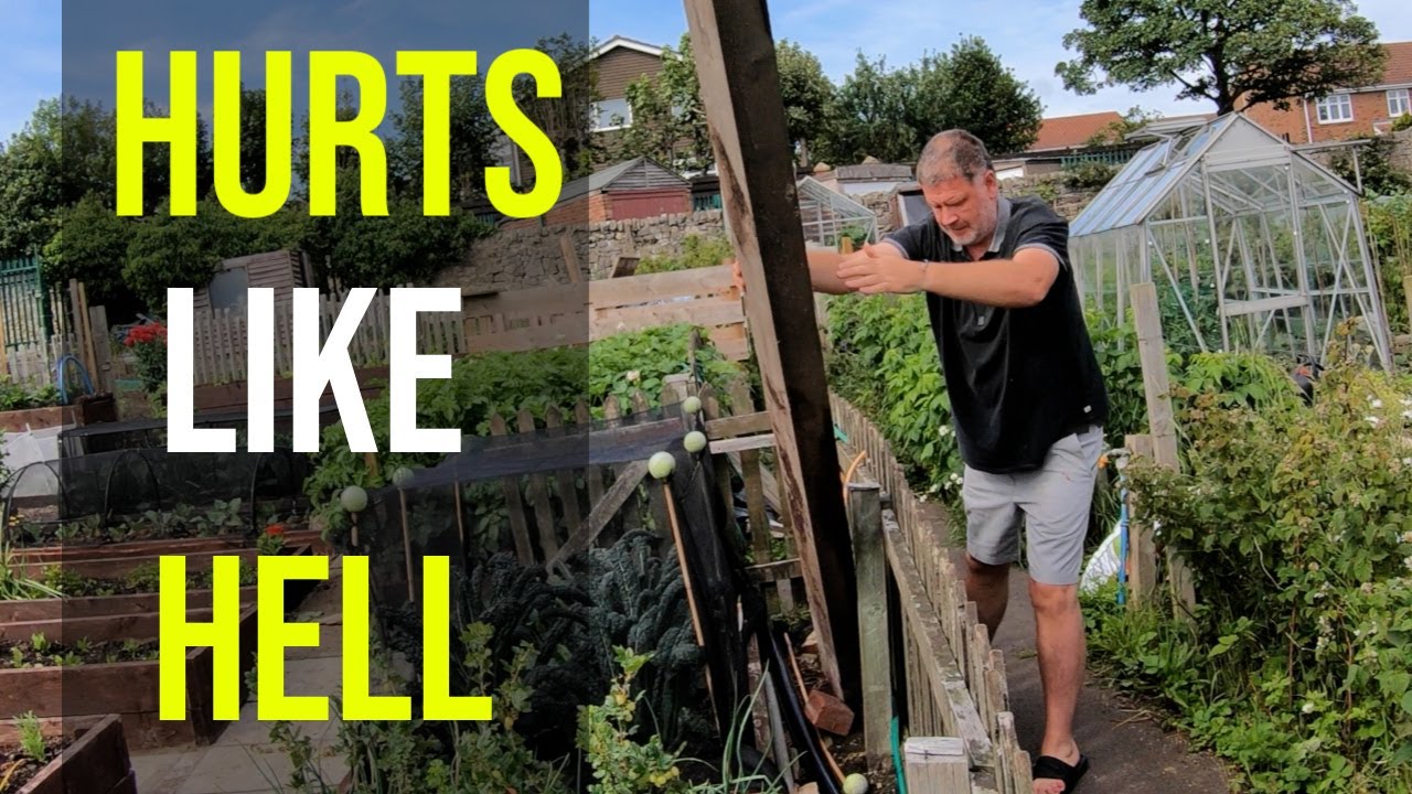 Ouch Gardening Hurts 😥 YouTube