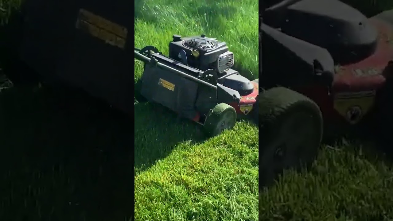 EXTREMELY Satisfying Grass Cutting | Razor-Sharp Edges in Minutes!