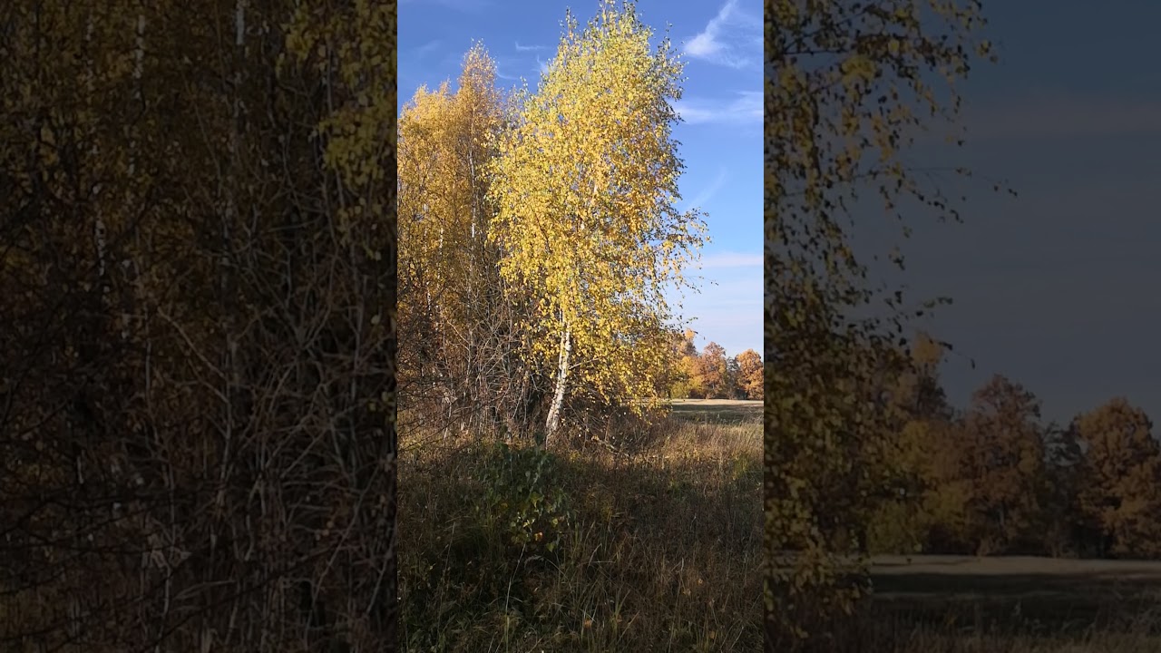 Самоисследование