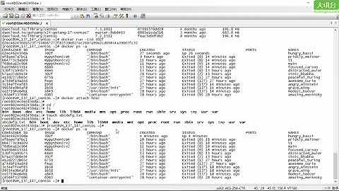 10.2 分布式爬虫之Docker基础 _ Python网络爬虫之分布式爬虫 _ 15个小时搞定Python网络爬虫