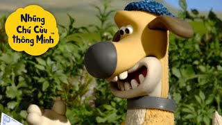 Chó!🐑 Những Chú Cừu Thông Minh 🐑  Tập đầy đủ