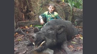 Wild Boar Hunting with Dogs, by Boat in Australia (pt 2)