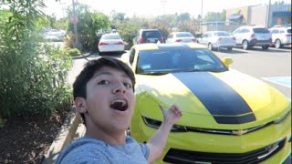 Almost Half A MILLION People Have Seen MY VIDEOS!!!