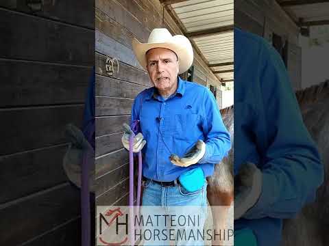 Video: Quante corde di legno in un semicarico?