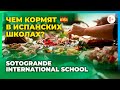 Чем кормят в школах Испании? Школьное питание в Sotogrande International School / Учеба в Испании