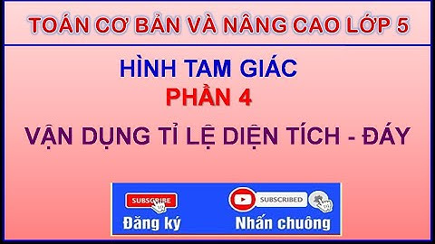 Toán hình tam giác nâng cao lớp 5 năm 2024