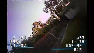 Backyard - Elective Amnesia