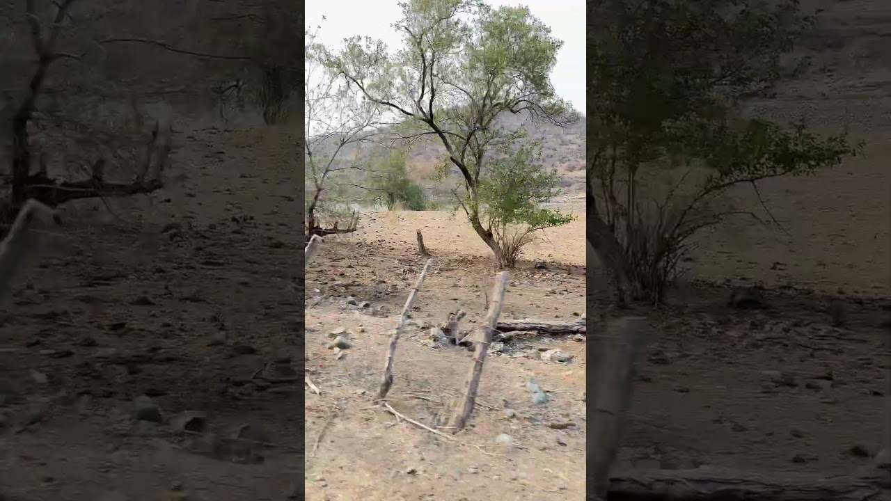 Conoce el río balsas en el Municipio de Zirándaro en Guerrero.